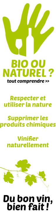 Publicit&eacute;
