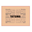Julien Ditté & Olivier Cazenave - "Tatsima" rosé 2018