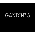 Gandines